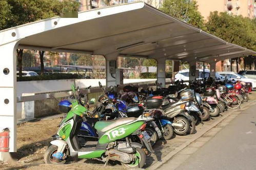 交通设施改造 技防工程建设 道路沿线景观提升 这个镇今年十大民生实事项目来啦